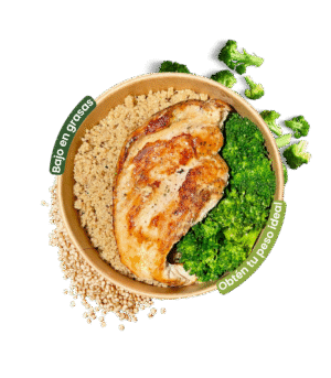 Texto del párrafo.zip - 2